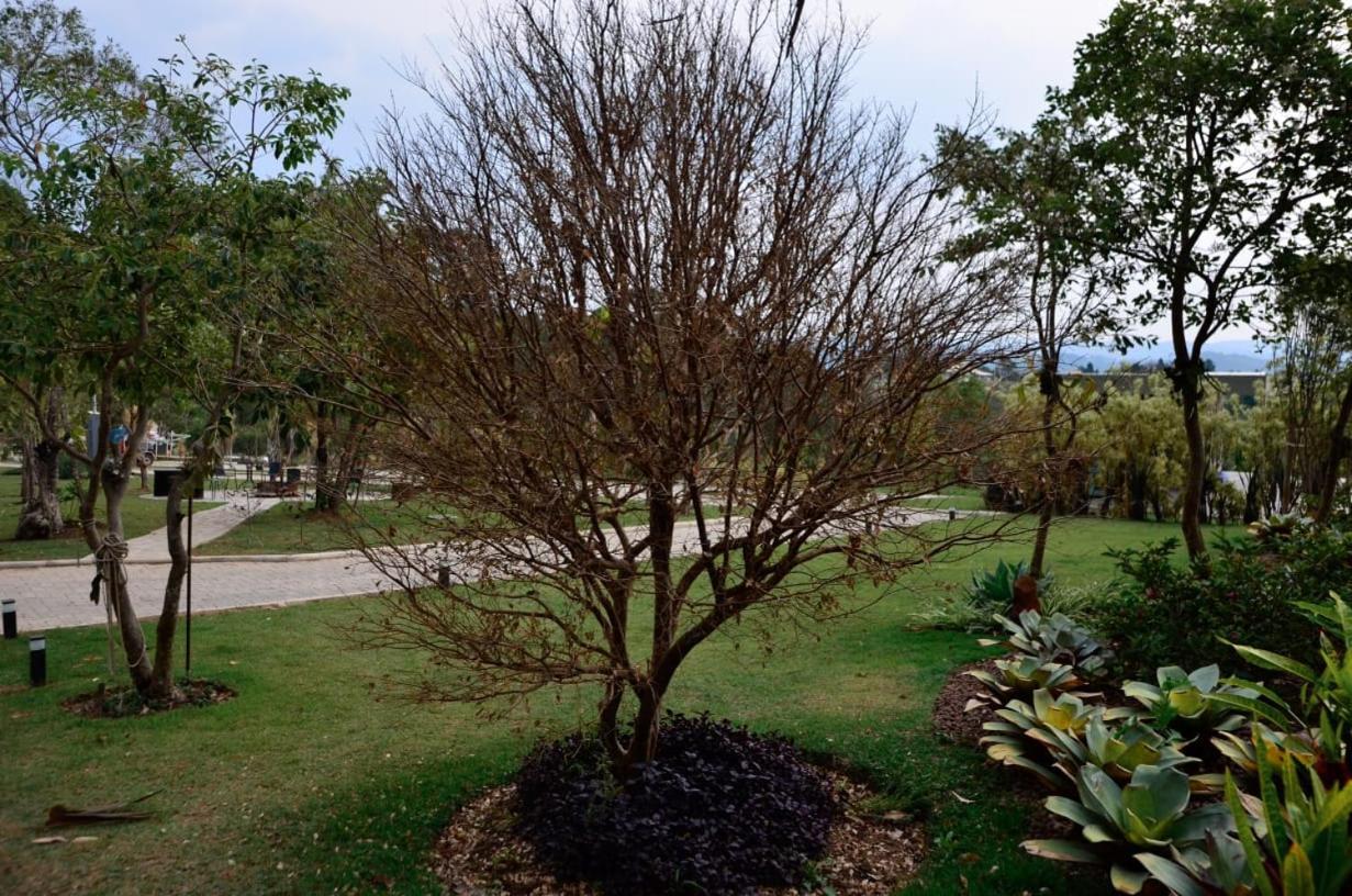 Capão do Cerrado Pousada e Spa Itabirito Exterior foto